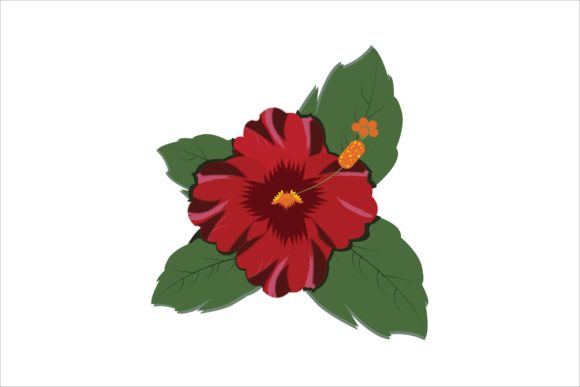Red Rose Floral Ornament Vector for Creators